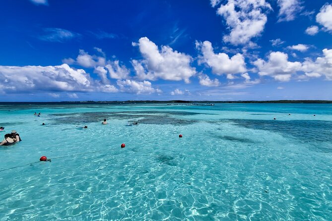 3-Hours Eye-Opening Stingray City Antigua - Transfer R/T included - Leaving St. John’s for Seatons