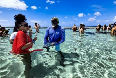 3-Hours Eye-Opening Stingray City Antigua – Transfer R/T included