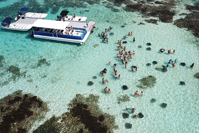 6-Hours Tour East Coast of Antigua: Stingray City, Lunch & Beach - Five details worth knowing before you book