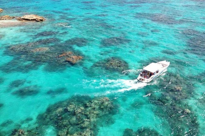 Adventure Antigua - Eli's Original Eco Tour - Guiana Island and the mangrove lesson