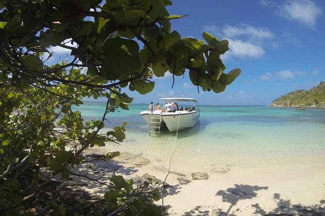 Adventure Antigua - Eli's Original Eco Tour - Is $142.50 a fair price?