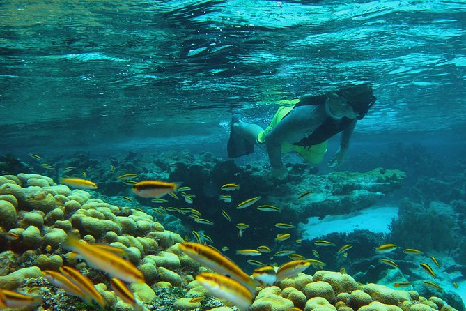 Adventure Antigua - Eli's Original Eco Tour - Great Bird Island: the day’s main stop