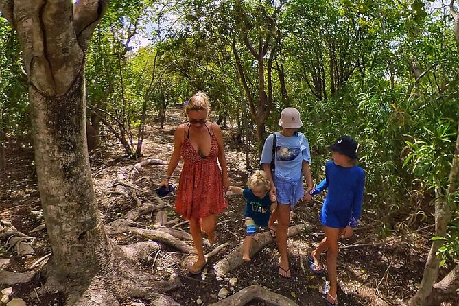 Adventure Power Boat Tour Antigua and Private Laviscount Island - Laviscount Island: tortoises, lunch, and a slower middle of the day