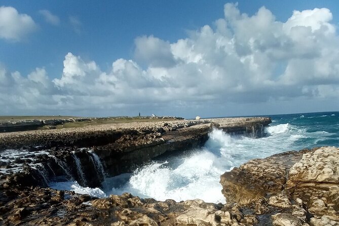Antigua Eco Island Tour (City, Country, Beach, & Heritage Sites) - Seeing Antigua beyond its beaches