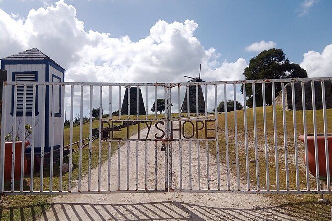 Antigua Eco Island Tour (City, Country, Beach, & Heritage Sites) - Nelson’s Dockyard and English Harbour