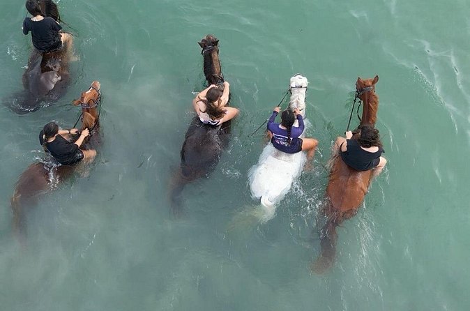 Antigua Horse Ride and Swim - A small group makes a real difference