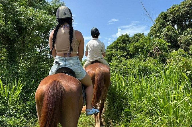 Antigua Horse Ride and Swim - How much value do you get for $120?