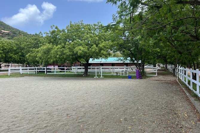 Antigua Horse Ride and Swim - The safety briefing sets the tone
