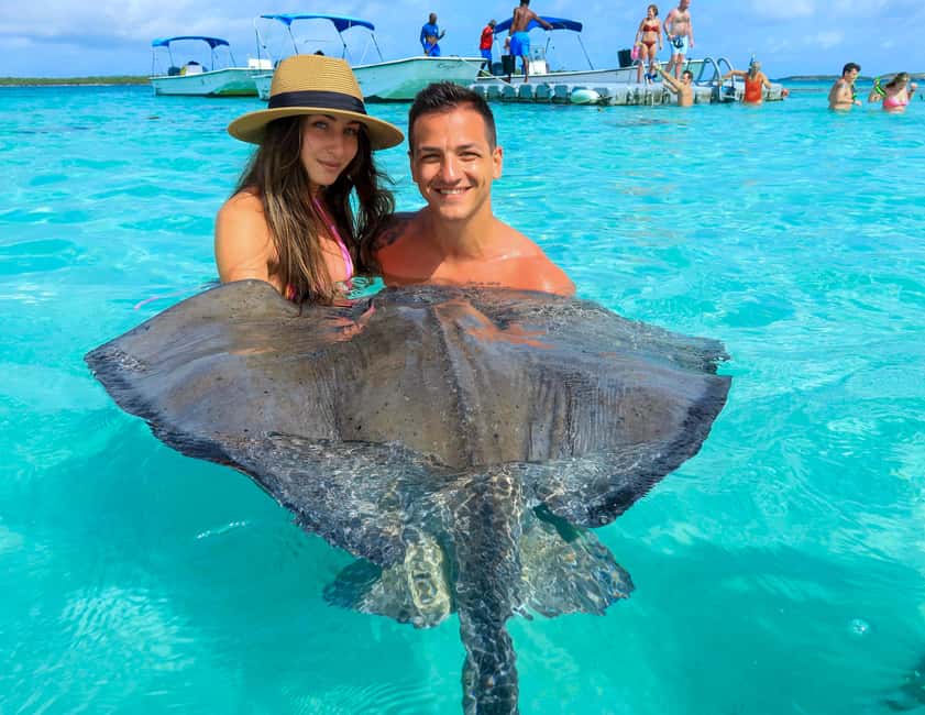 Antigua: Stingray City Experience with Round-Trip Transfer - Why Stingray City feels different from a standard animal attraction