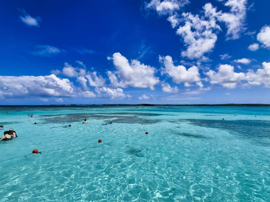 Antigua: Stingray City Experience with Round-Trip Transfer - The 45-minute drive to Seatons