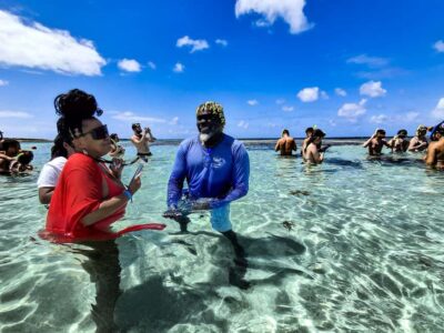 Stingray City Experience with Round-Trip Transfer