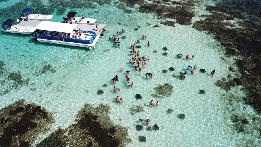 Antigua: Stingray City Experience with Round-Trip Transfer - What the $149 price includes