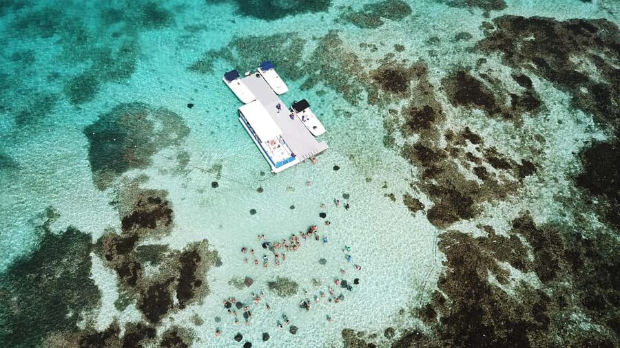 Antigua: Stingray City Experience with Round-Trip Transfer - Guides can shape the whole outing