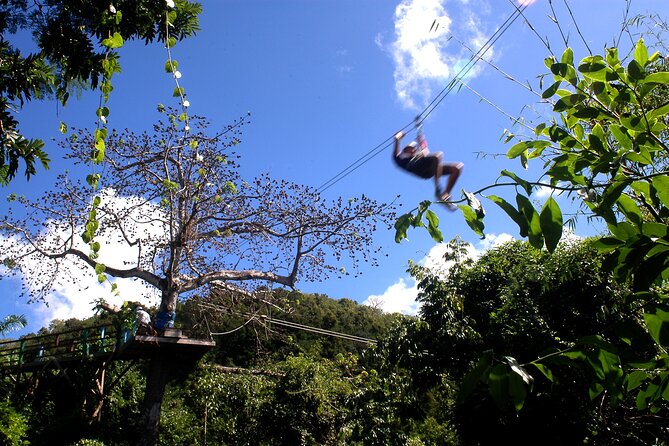Antigua Zipline Canopy Adventure from St John’s - Leaving St. John’s for the rainforest