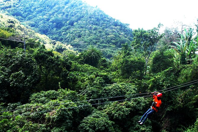 Antigua Zipline Canopy Adventure from St John’s - Thirteen ziplines across the gorge