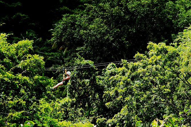 Antigua Zipline Canopy Adventure from St John’s - Rope challenges and suspension bridges