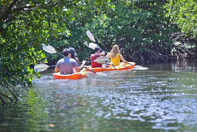 Antigua Zipline & Kayaking Combo From St. John's - Is $222.47 a fair price?