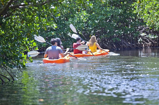 Antigua Zipline & Kayaking Combo From St. John's - Who should book this Antigua adventure?