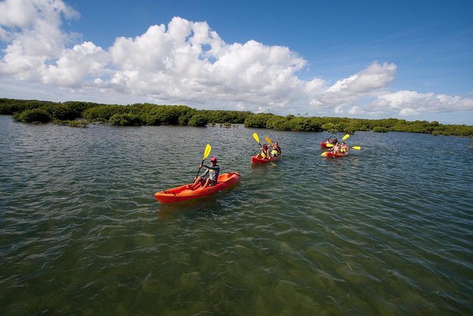 Antigua Zipline & Kayaking Combo From St. John's - Fig Tree Drive and the rainforest zipline course