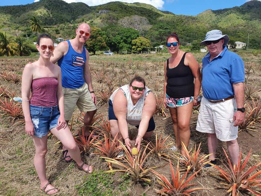 Antiguan experience home tour with local guide with lunch - Why This Antigua Tour Feels More Personal