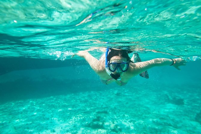 Cades Reef Snorkel Cruise from St. John's Antigua - Key points at a glance