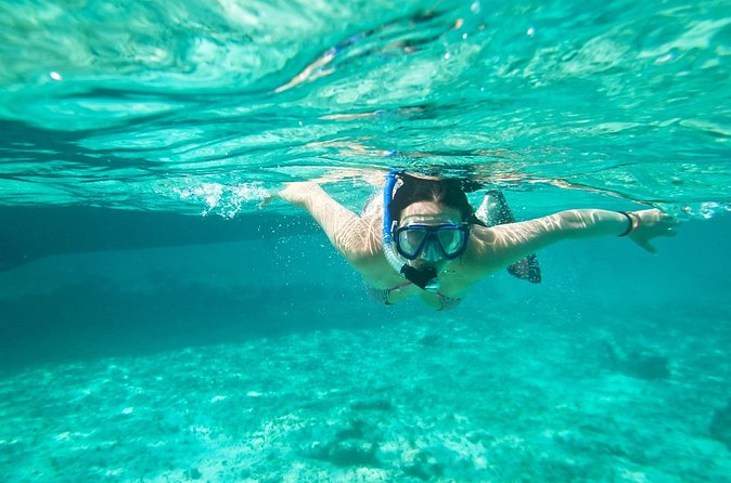Cades Reef Snorkel Cruise from St. John's Antigua - Is $173.20 a fair price?
