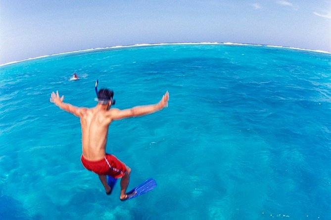 Cades Reef Snorkel Cruise from St. John's Antigua - Snorkeling time, coral conditions, and sea life