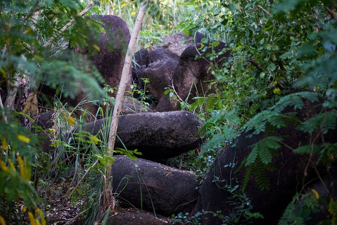 Caribbean Stonehenge - Hike on Green Castle Hill, Antigua. - The Megaliths of Green Castle Hill