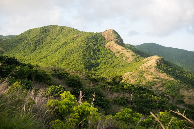 Caribbean Stonehenge - Hike on Green Castle Hill, Antigua. - Who Will Enjoy This Hike Most