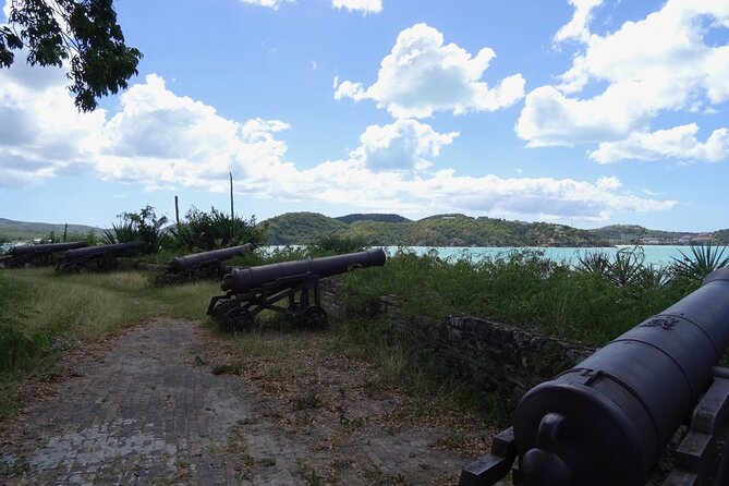 City of St John's Sightseeing Tour - The town center and local vendors