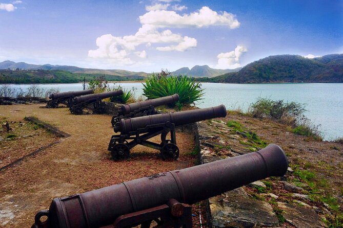 City of St John's Sightseeing Tour - What the guides add to the experience