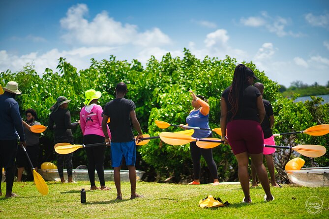 Clear Kayak Tour in Mangrove Antigua - Is $90 a fair price for one hour?
