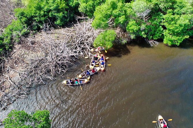Clear Kayak Tour in Mangrove Antigua - Who will enjoy this mangrove tour most?