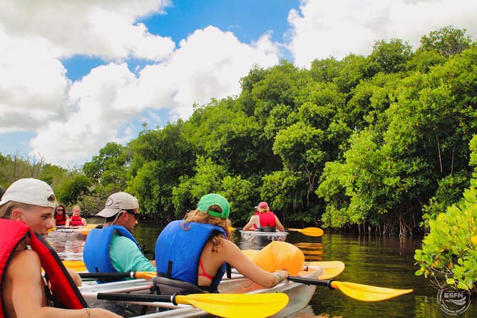 Clear Kayak Tour in Mangrove Antigua - Who may want a different activity?