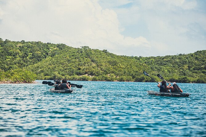 Crystal Kayak & Snorkel Eco Tour (with transfer) - What Happens After the Water Activities