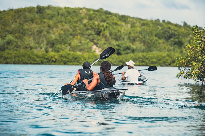 Crystal Kayak & Snorkel Eco Tour (with transfer) - How the $89 Price Measures Up