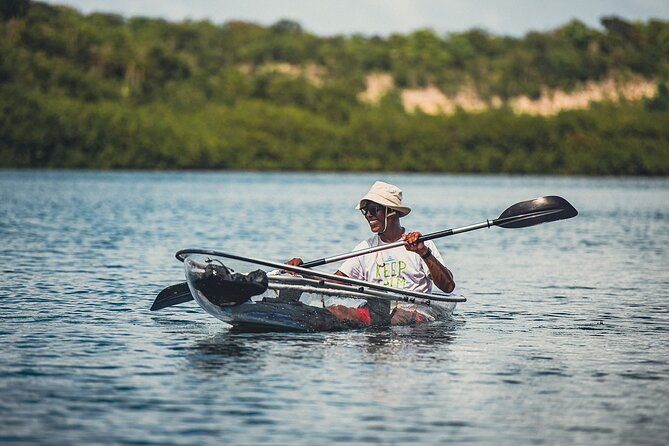 Crystal Kayak & Snorkel Eco Tour (with transfer) - Who Will Enjoy This Antigua Excursion