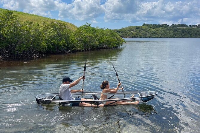 Crystal Kayak & Snorkel Eco Tour (with transfer) - Paddling Through the Mangroves