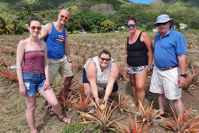 Cultural and Historical Home Tour in The Antiguan Experience - The pineapple farm: small scale, real context