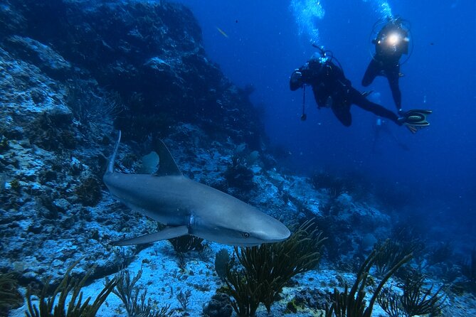 DiveCarib - An Eco-Friendly Certified Diver Trip in Antigua - The Boat Ride Shows Antigua from Another Angle