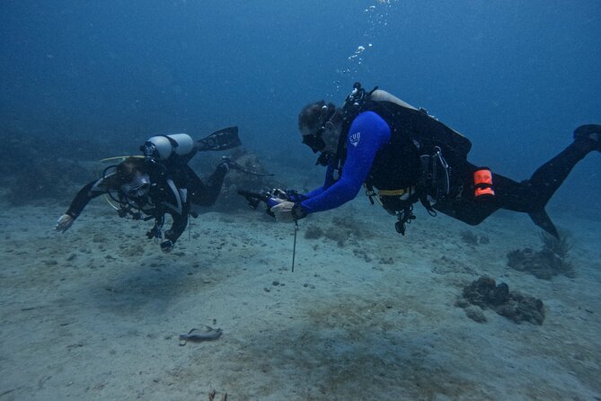 DiveCarib - An Eco-Friendly Certified Diver Trip in Antigua - Preparing for the First Underwater Site