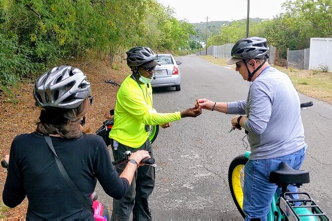 E-Bike Tour of Antigua Forts and Beaches - Nelson’s Dockyard brings history down to sea level