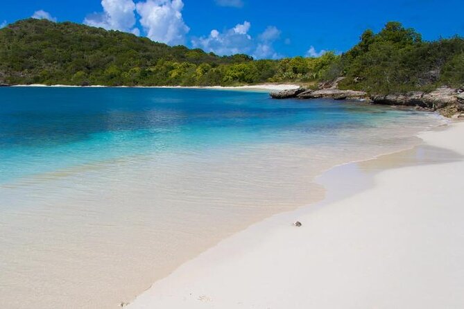 FANTASTIC Green Island and Sea Turtles - Half Day share boat trip - Key points to know before you book