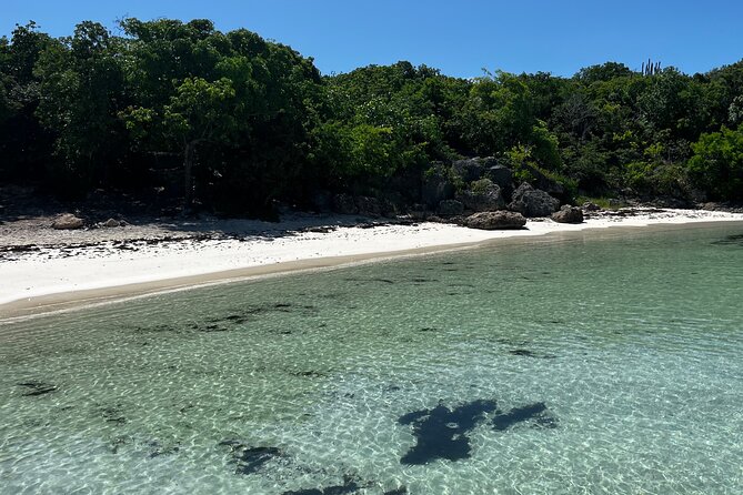 FANTASTIC Green Island and Sea Turtles - Half Day share boat trip - Why the early departure matters on Green Island