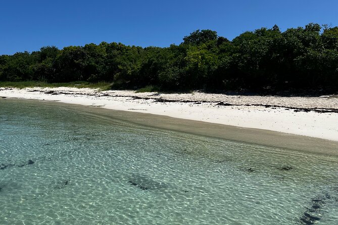 FANTASTIC Green Island and Sea Turtles - Half Day share boat trip - The boat transfer is practical, not luxurious