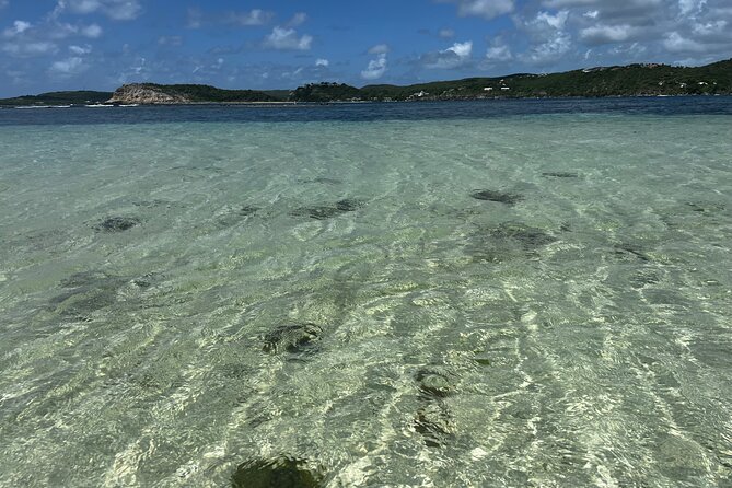 FANTASTIC Green Island and Sea Turtles - Half Day share boat trip - Looking for sea turtles in the clear water