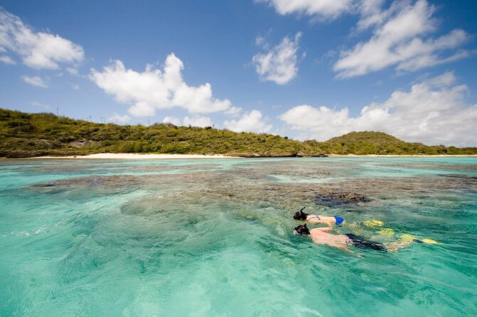 FANTASTIC Green Island and Sea Turtles - Half Day share boat trip - Drinks, snacks, and the small-group feel