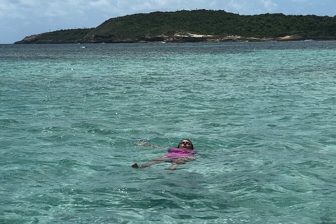 FANTASTIC Green Island and Sea Turtles - Half Day share boat trip - What the $179.90 price really buys