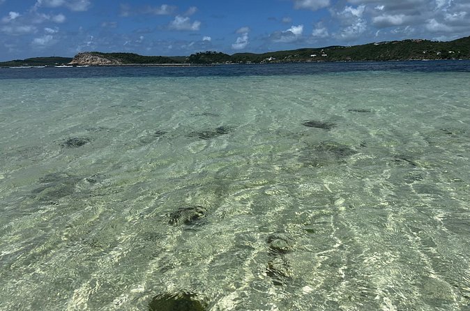 FANTASTIC Green Island and Sea Turtles - Half Day share boat trip - The guides can make or break the morning