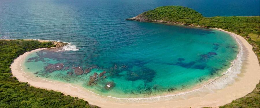 From St John's: Half Moon Bay Beach Half-Day Trip by Van - Key points to know before you book